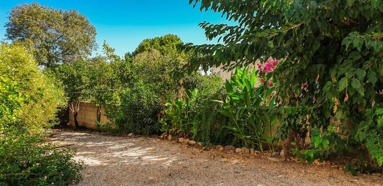 הוילה נאו חוריו Yiangos House מראה חיצוני תמונה