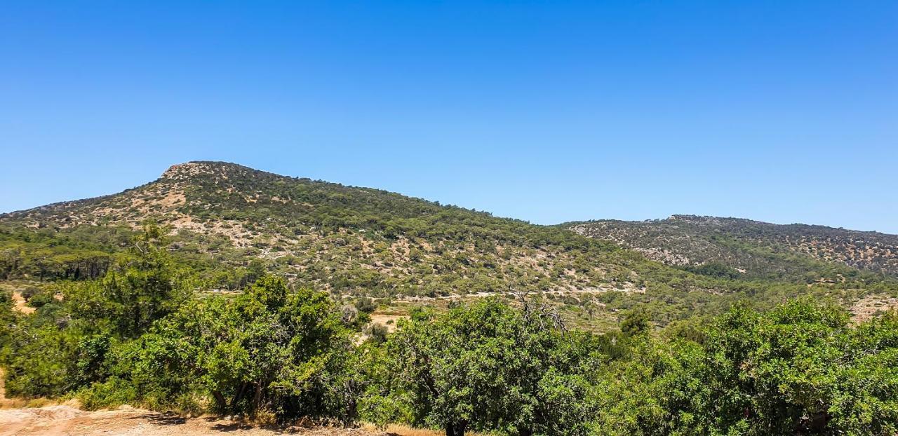 הוילה נאו חוריו Yiangos House מראה חיצוני תמונה
